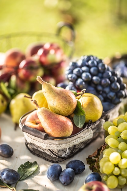 Fruits Mûrs Sur La Table Dans Le Jardin. Poires Fraîches Dans Un Panier Entouré D'une Variété De Fruits Du Jardin.