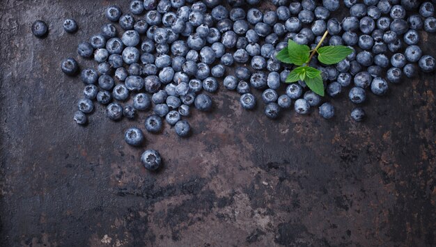 Fruits de myrtilles