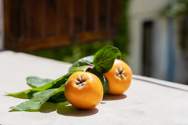 Fruits de néflier avec des feuilles sur le rebord de fenêtre en béton