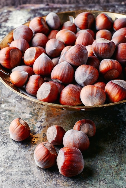 Fruits de noisette