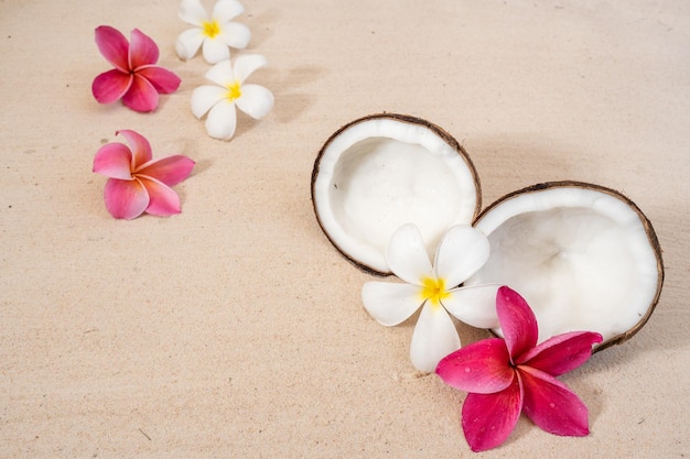 Fruits de noix de coco et fleurs de frangipanier sur fond de plage de sable.