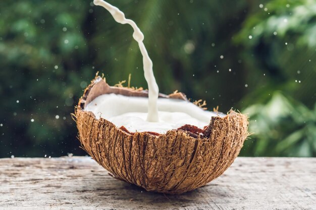 Les fruits de la noix de coco et le lait éclaboussent à l'intérieur sur un fond de palmier.