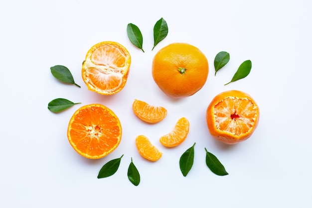 Fruits orange et feuilles vertes sur fond blanc.