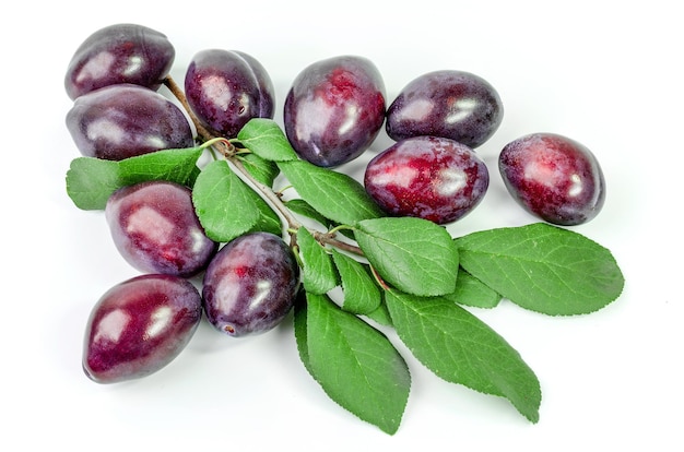 Fruits de prune rouge isolés sur fond blanc