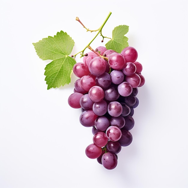 Fruits de raisin en fond blanc