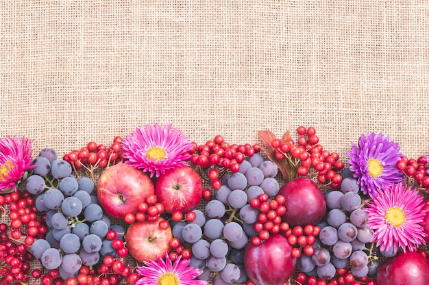 Fruits rouges mûrs baies et fleurs violettes sur la table avec un tissu de sac Maquette de bordure de cadre de vie morte à plat vue de dessus Modèle de fond d'automne festif espace de copie Concept de récolte