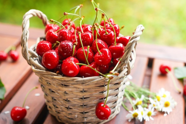 Fruits rouges sucrés mûrs dans un panier en osier gros plan à l'extérieur dans le jardin de plus en plus de cerises