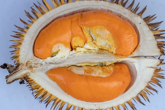 Fruits de Sabah Bornéo appelés Durian Dalit et sa chair est de couleur orange. Le Durian Dalit à vendre au marché de rue à Kota Kinabalu, île de Bornéo, Malaisie, gros plan