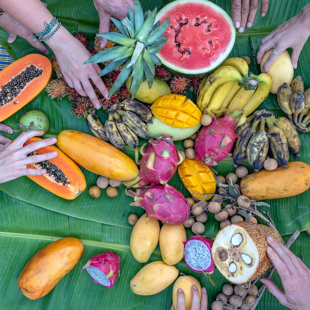 Fruits tropicaux sur les feuilles de bananier vertes et les mains des gens. Groupe d'amis heureux ayant de la bonne nourriture, profitant de la fête et de la communication. Mangue, papaye, pitahaya, banane, pastèque, ananas et mains