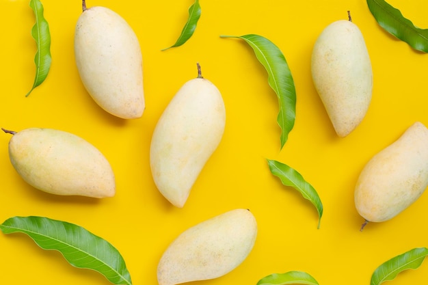 Fruits tropicaux, mangue sur fond jaune. Vue de dessus