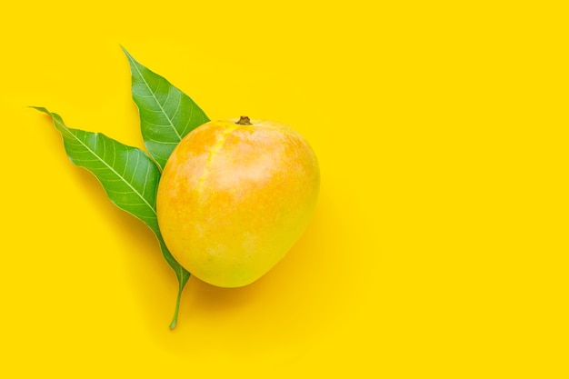 Fruits tropicaux, mangue sur jaune. Vue de dessus