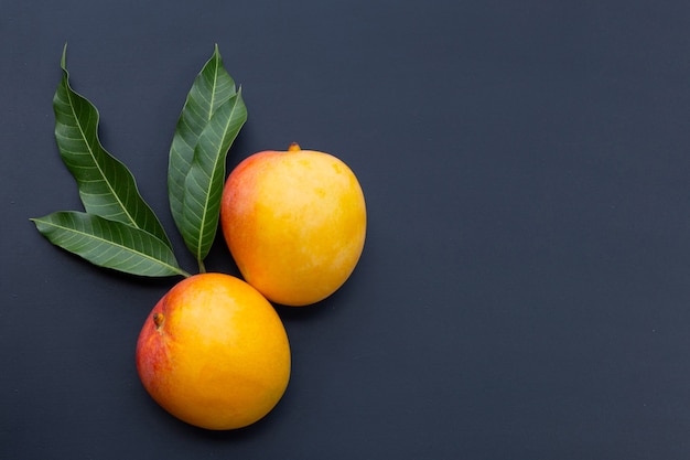 Fruits tropicaux, mangue sur noir