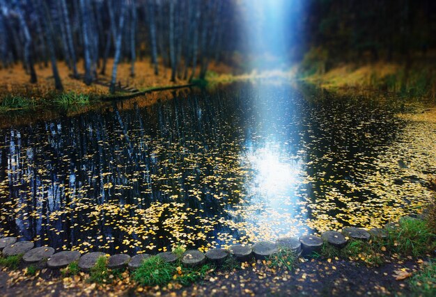 Fuite de lumière sur fond de paysage de lac de parc d'automne