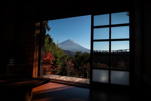 Fuji Mountain View