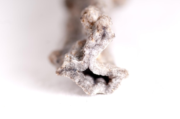 Photo fulgurite, pierre de foudre