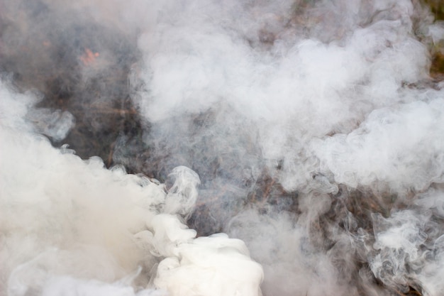 Fumée blanche d'un feu se bouchent