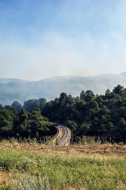 Photo fumée de feu de forêt dans la montagne