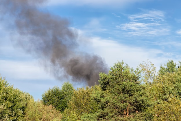 La fumée noire de la combustion des arbres forestiers et des bâtiments contre un ciel bleu