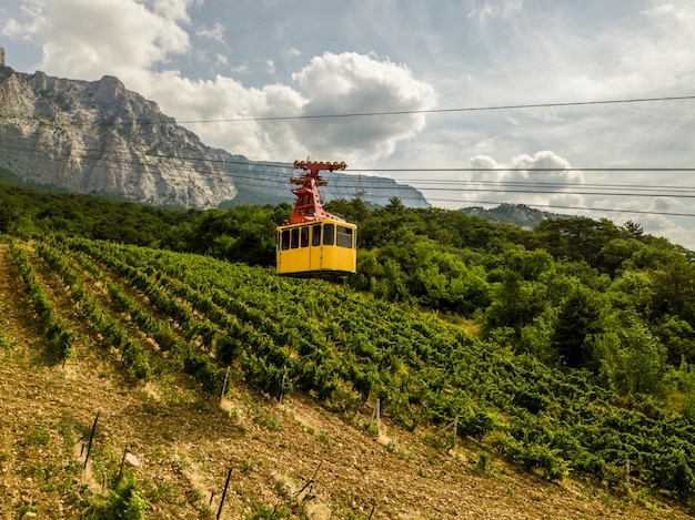 Un Funiculaire à Cabine Jaune Transporte Les Gens Jusqu'au Sommet De La Montagne Pendant La Saison Estivale.