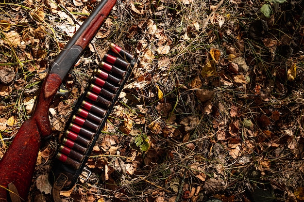 Fusil de chasse et cartouches dans la forêt d'automne