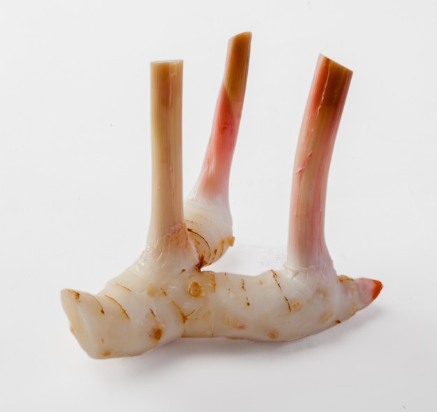 Galangal frais isolé sur fond blanc.