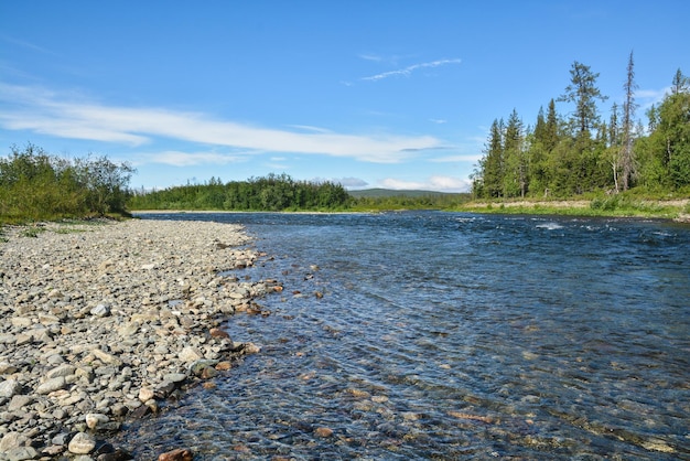 Galet sur la rivière du nord