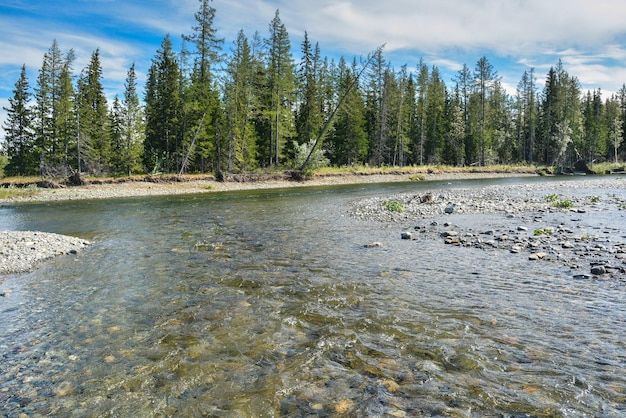 Galet sur la rivière du nord