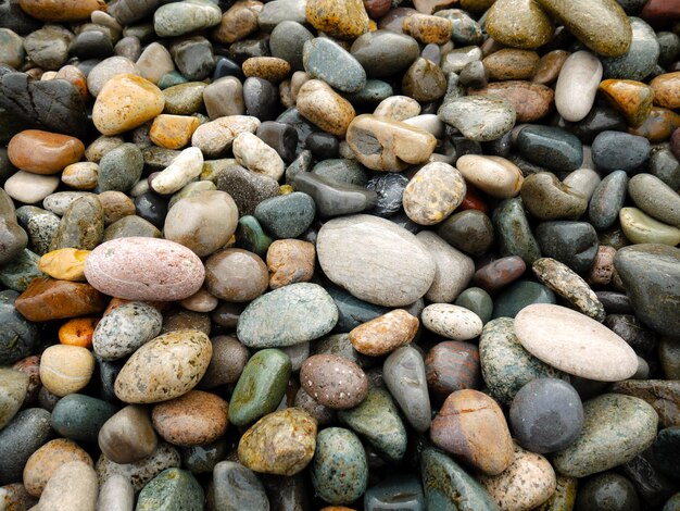 Galets de couleur humide sur la plage