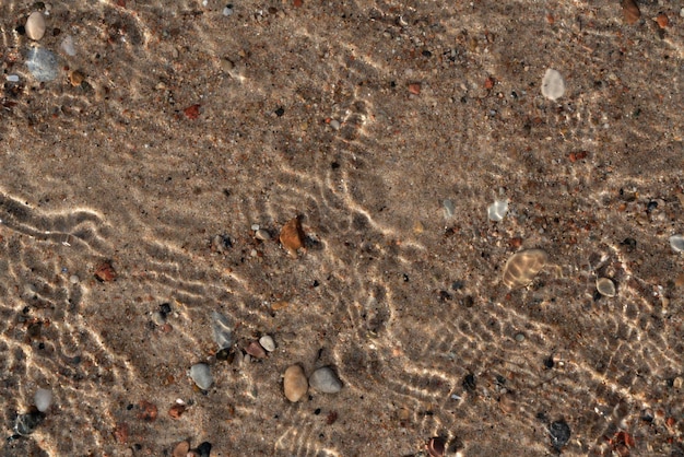 Galets de mer multicolores sur le sable à travers l'eau de mer Mer Baltique Curonian Spit Région de Kaliningrad Russie