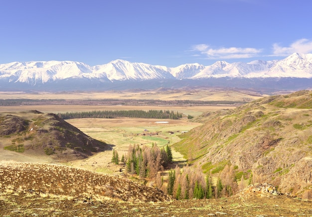 La gamme NorthChui dans la vallée verte des montagnes de l'Altaï dans les montagnes enneigées de la steppe de Kurai