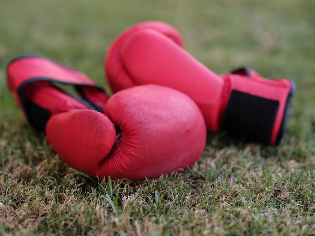 Gants de boxe rouges sur l'herbe