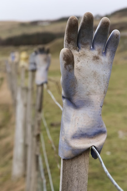 Photo gants sur la clôture sur le terrain