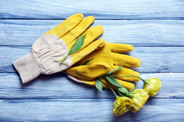 Gants de jardin jaunes et fleur sur fond de bois bleu