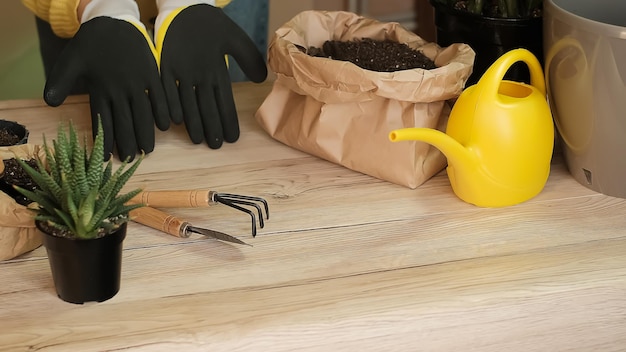 Gants de travail mis sur des gants de jardin mains dans des gants de travail jaunes outils de jardin se trouvent sur un bois