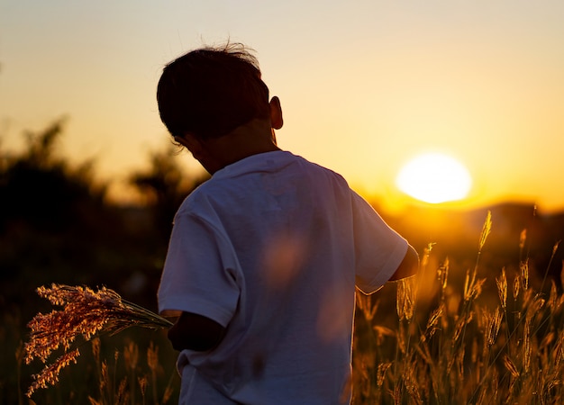 Garçon asiatique avec une herbe de fleur dans la soirée au coucher du soleil.