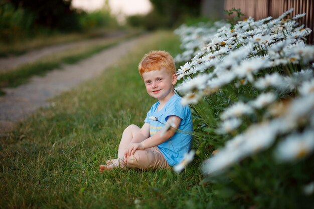 Un garçon aux cheveux roux est assis près des marguerites au coucher du soleil et sourit