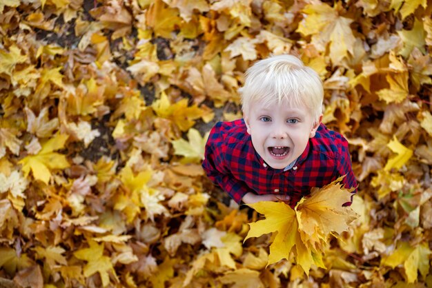 Garçon blond avec un bouquet de feuilles d'automne se lève et lève les yeux. Vue de dessus. notion d'automne