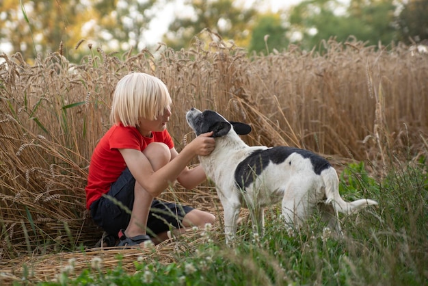 Un garçon blond en T-shirt rouge joue avec un clochard de chien tacheté près d'un champ de blé Amitié entre enfant et chien