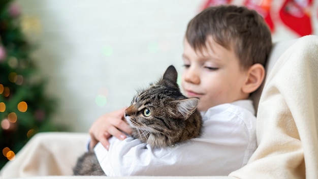 Garçon Sur Une Chaise Avec Un Chat à La Maison, Arbre De Noël Sur Le Mur