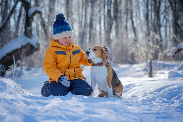 Garçon et chien Beagle marcher et jouer dans la forêt couverte de neige d'hiver dans une journée ensoleillée glaciale