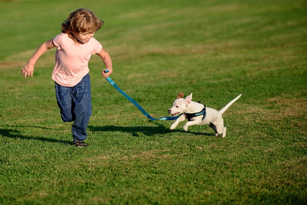 Garçon courir et jouer avec un chien sur la pelouse du parc. Animal avec propriétaire. Le toutou a dressé une queue.