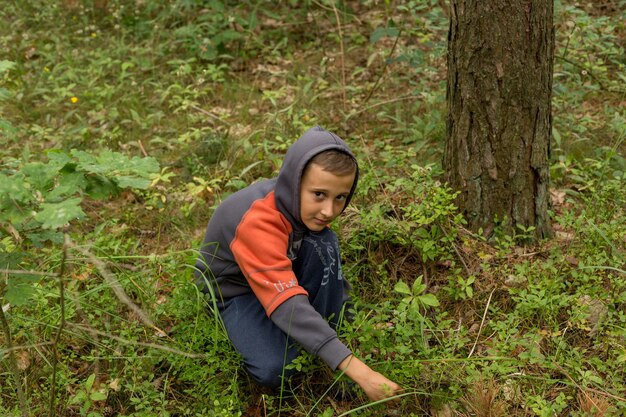 Un garçon dans une forêt cueillant des plantes