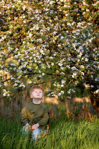 Un garçon dans le jardin près d'un pommier en fleurs regarde le ciel