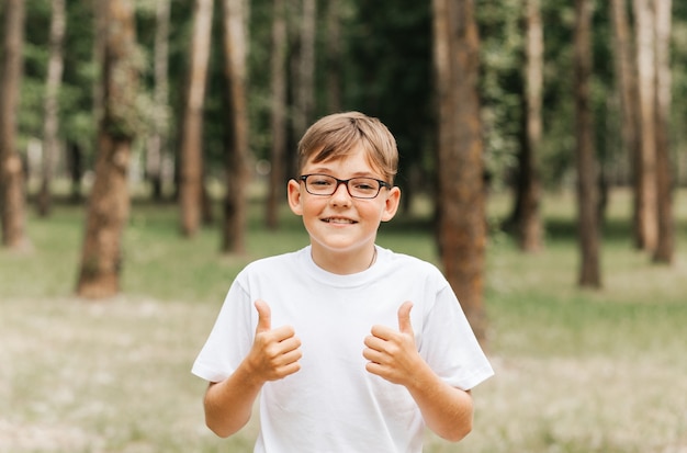 Un garçon drôle avec des taches de rousseur et des lunettes montre un signe de classe dans la nature. L'émotion positive des enfants