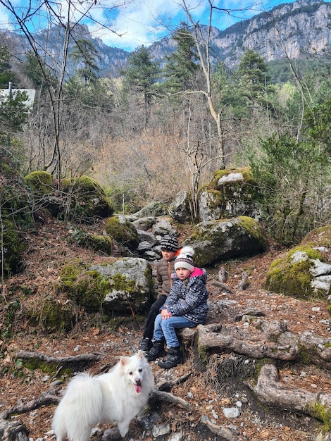 Un garçon est assis sur un rocher dans les bois avec son chien.