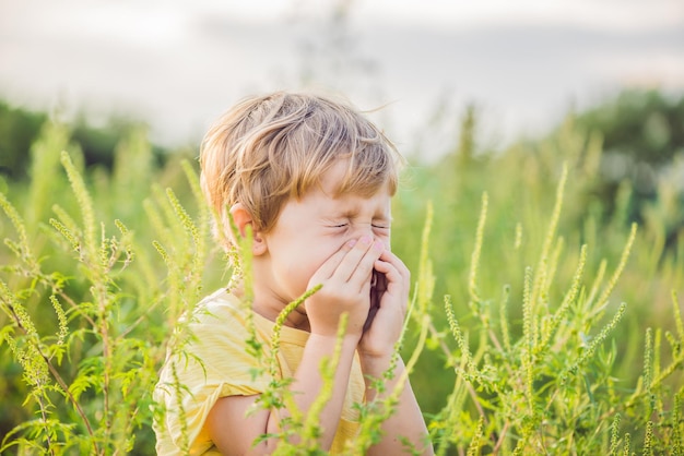 Un garçon éternue à cause d'une allergie à l'ambroisie