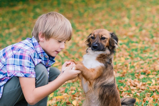 Garçon étreignant un chien et plyaing avec à l'automne, parc de la ville