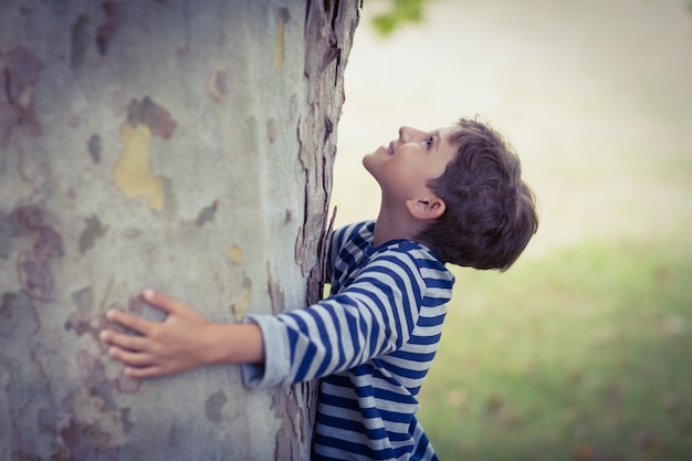 Garçon, étreindre, tronc arbre, dans parc