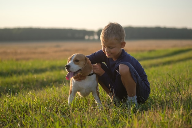 Garçon européen avec un Beagle en promenade un soir d'été