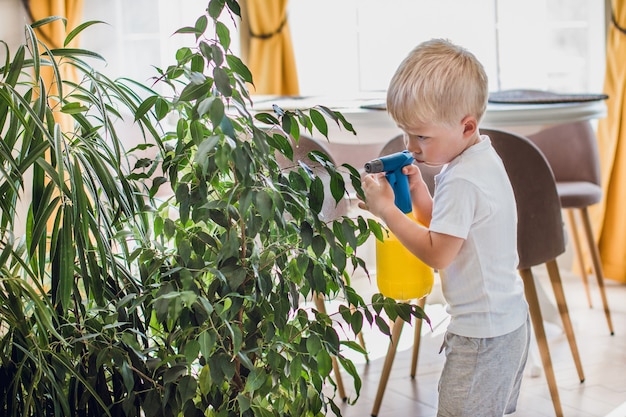 Garçon européen blonde pulvérise des plantes d'intérieur, pots de fleurs écologiques, auto-arrosants, jardin intérieur